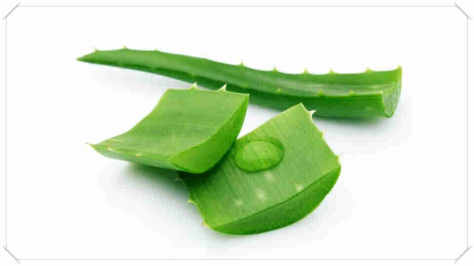 Göz batması aloe vera