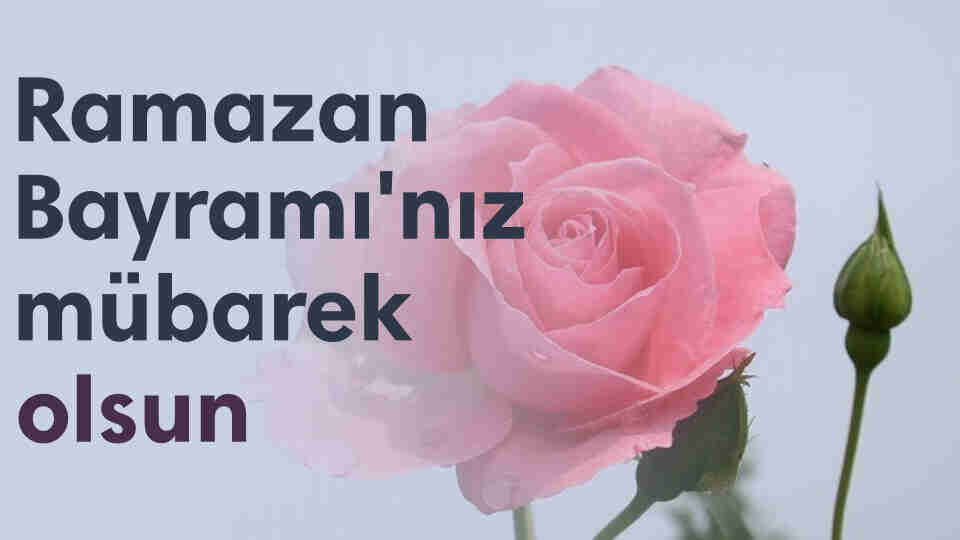 Resimli bayram mesajları