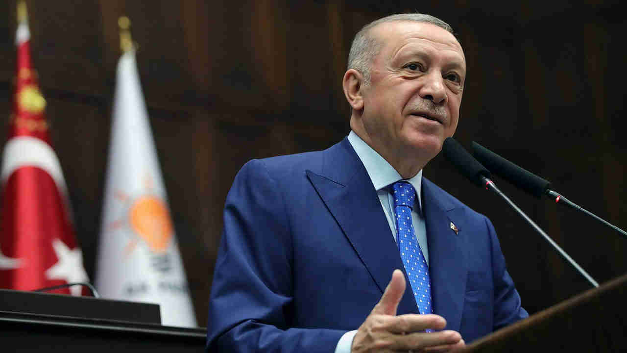 Erdoğan'dan 'sokak hayvanları' açıklaması: Asla taviz yok