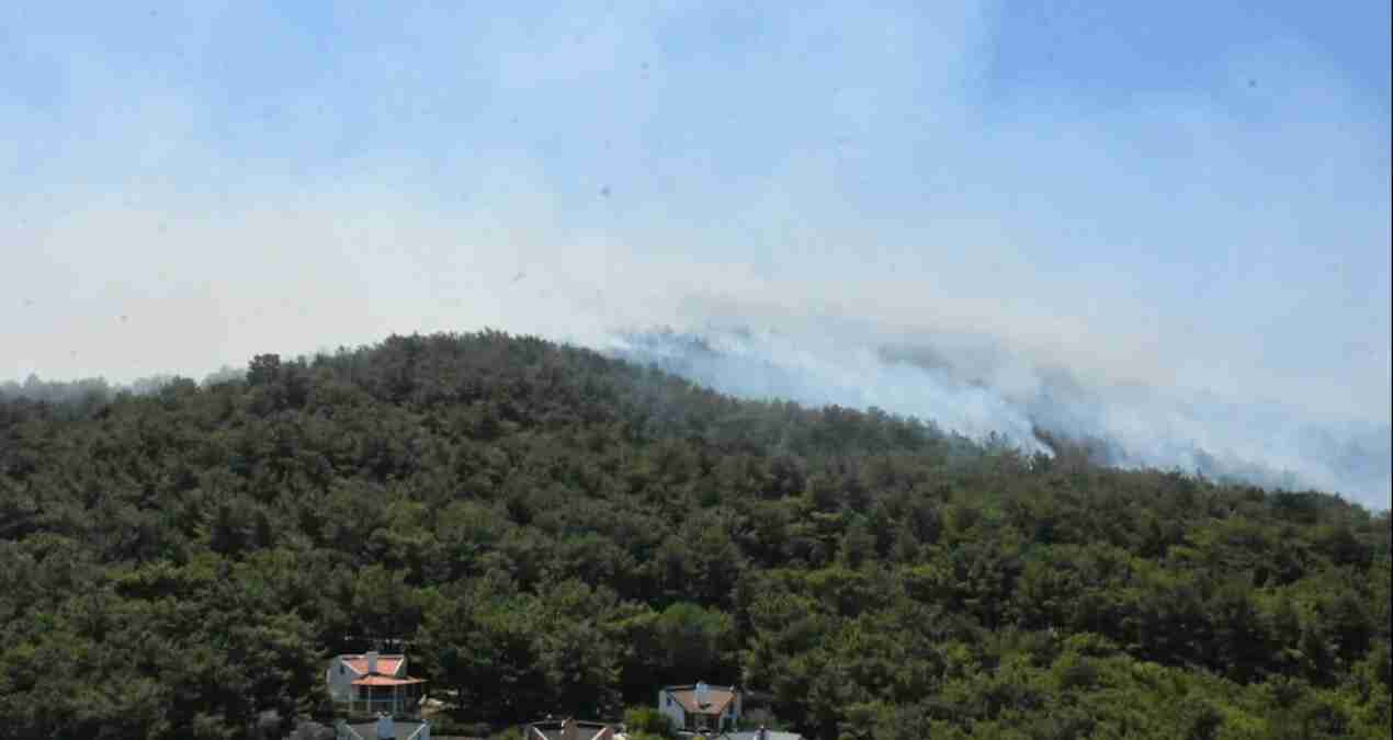 Urla’da yine orman yangını çıktı
