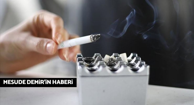 Türkiye'de Tütün Kontrolü: Bir Çöküş Hikayesi