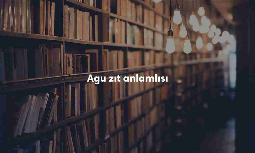 Agu zıt anlamlısı