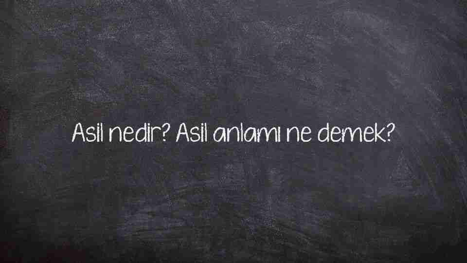 Asil nedir? Asil anlamı ne demek?