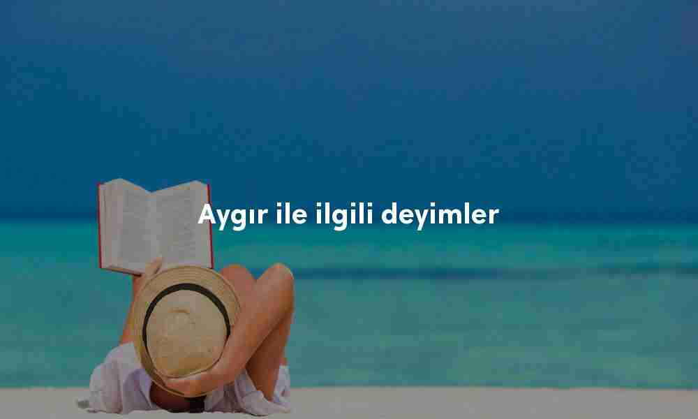 Aygır ile ilgili deyimler
