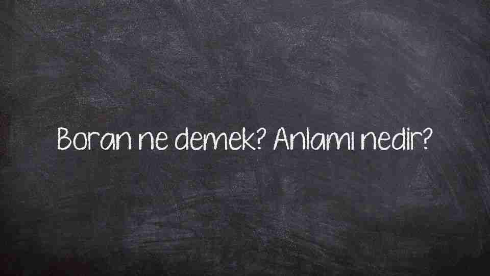 Boran ne demek? Anlamı nedir?