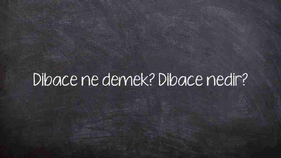Dibace ne demek? Dibace nedir?
