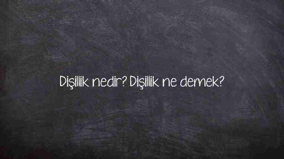 Dişillik nedir? Dişillik ne demek?