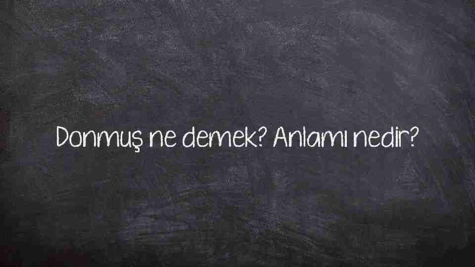 Donmuş ne demek? Anlamı nedir?