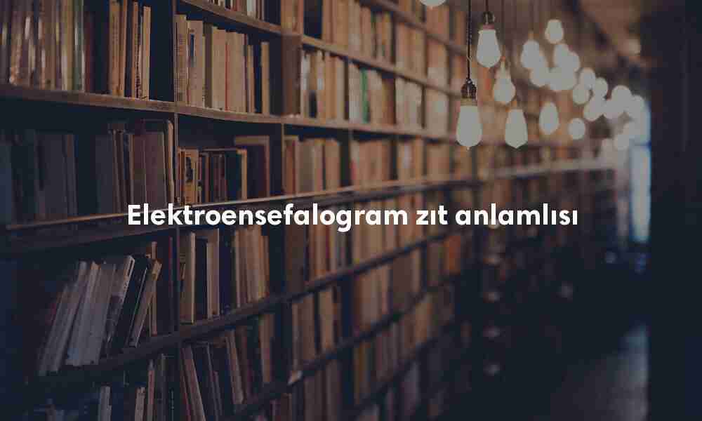 Elektroensefalogram zıt anlamlısı Elektroensefalogram zıt anlamlısı
