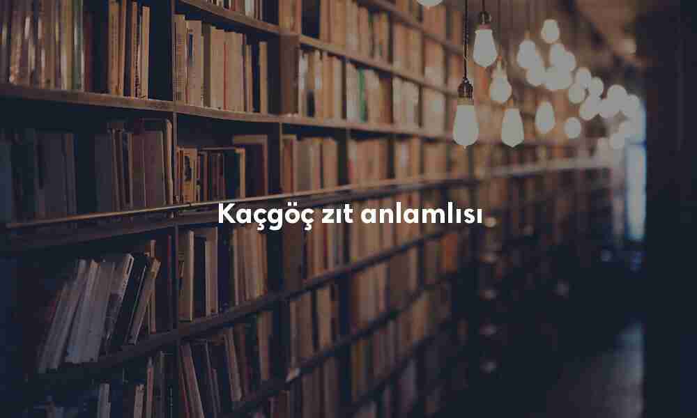 Kaçgöç zıt anlamlısı