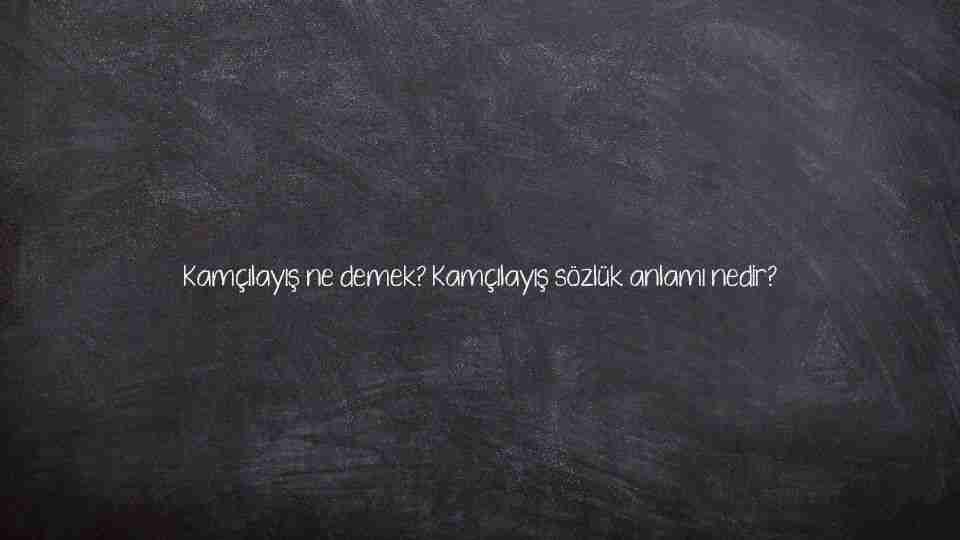 Kamçılayış ne demek? Kamçılayış sözlük anlamı nedir?