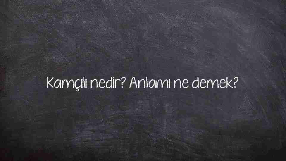 Kamçılı nedir? Anlamı ne demek?