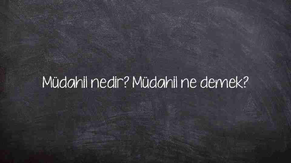 Müdahil nedir? Müdahil ne demek?
