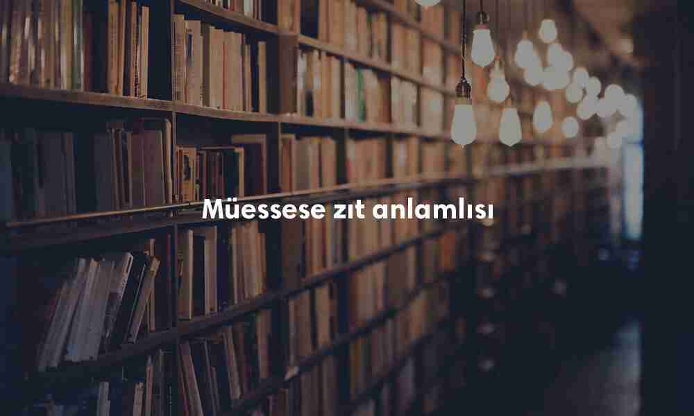 Müessese zıt anlamlısı