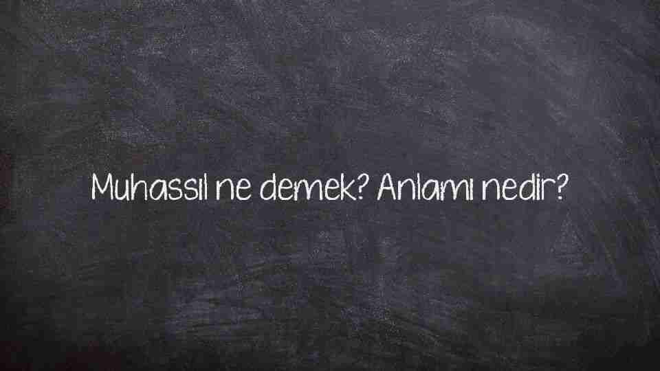 Muhassıl ne demek? Anlamı nedir?