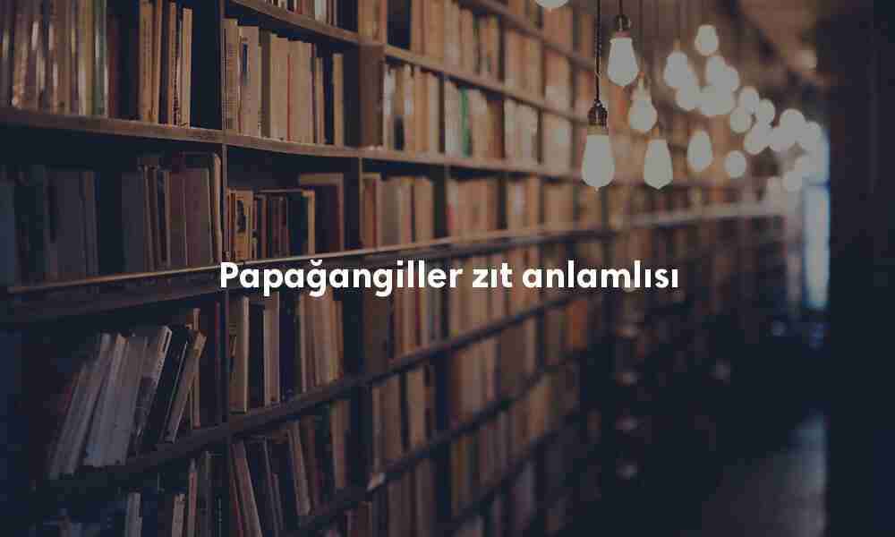 Papağangiller zıt anlamlısı
