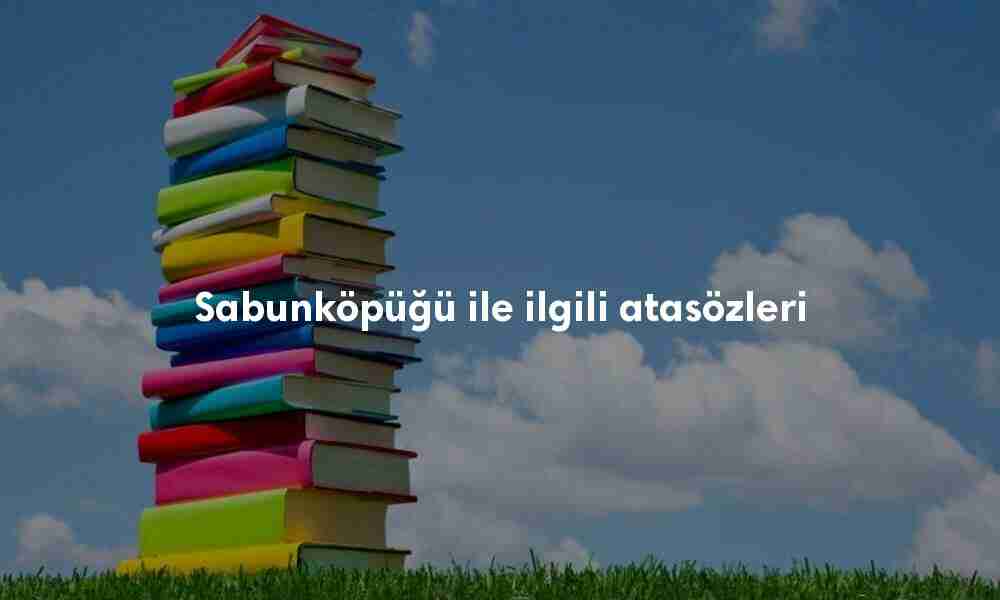 Sabunköpüğü ile ilgili atasözleri