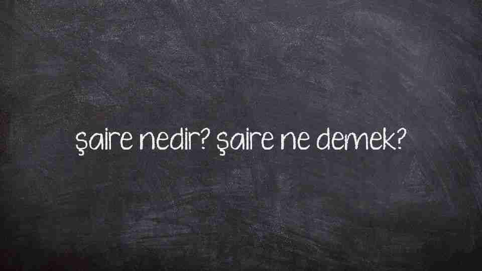 şaire nedir? şaire ne demek?
