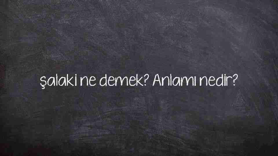 şalaki ne demek? Anlamı nedir?