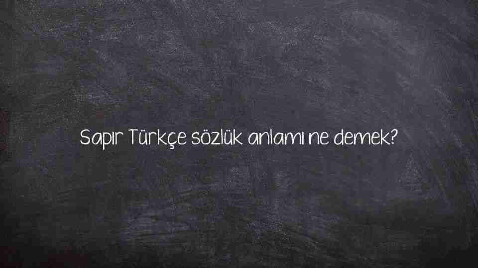 şapır ne demek? şapır Türkçe anlamı nedir?