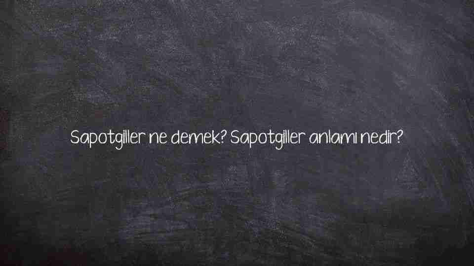 Sapotgiller ne demek? Sapotgiller anlamı nedir?