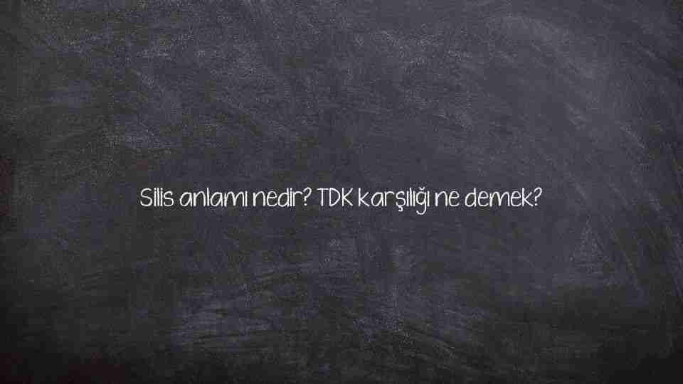 Siliş sözlük anlamı nedir? Siliş ne demek?