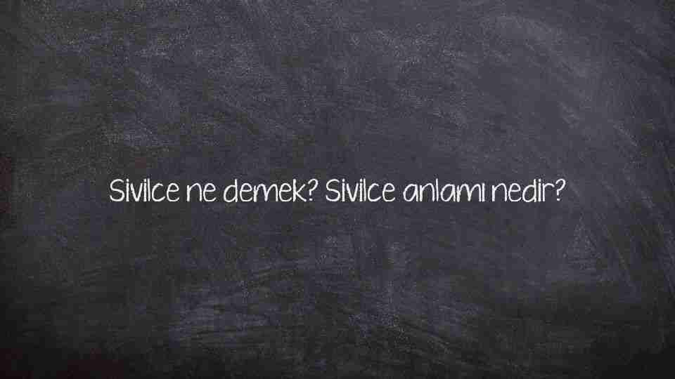 Sivilce ne demek? Sivilce anlamı nedir?