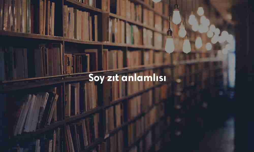 Soy zıt anlamlısı