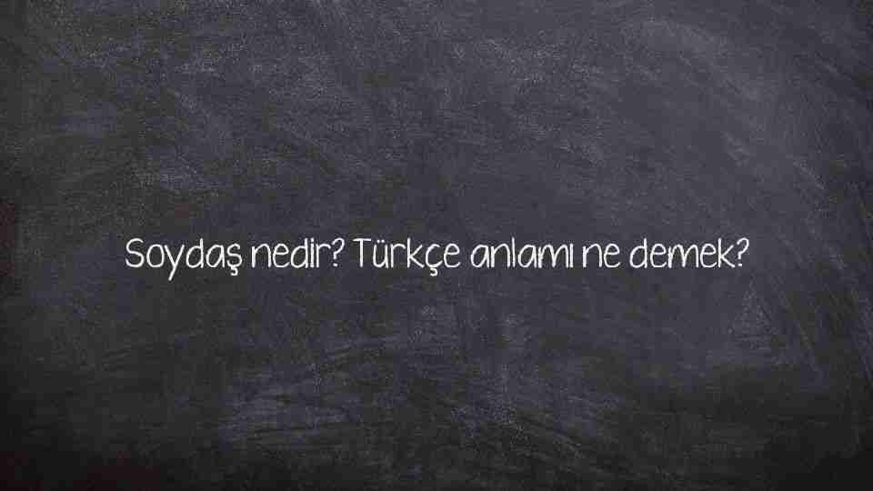 Soydaş nedir? Türkçe anlamı ne demek?