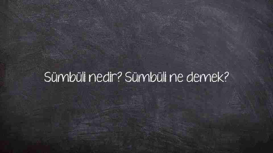 Sümbüli nedir? Sümbüli ne demek?