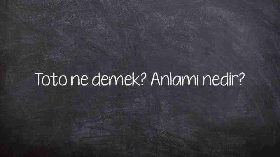 Toto ne demek? Anlamı nedir?