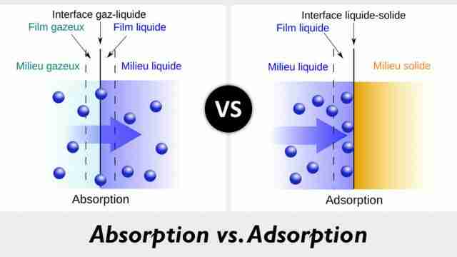 Absorption ne demek Türkçesi nedir İngilizce çeviri sözlük anlamı 