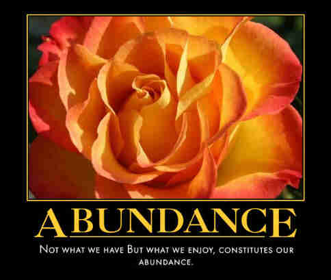 Abundance ne demek İngilizce çeviri sözlük anlamı Türkçesi nedir 