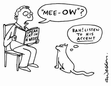 Accent ne demek sözlük anlamı Türkçesi nedir İngilizce çeviri 