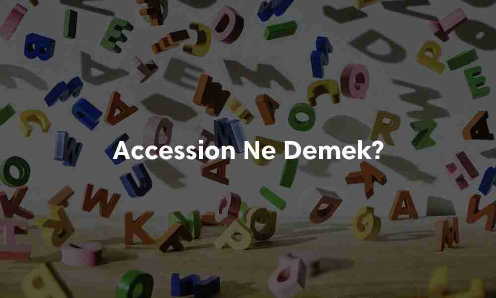 Accession ne demek?