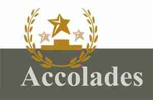 Accolades ne demek İngilizce çeviri sözlük anlamı Türkçesi nedir 
