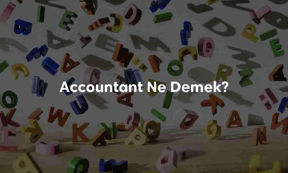 Accountant ne demek?