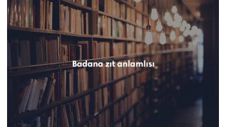 Badana kısaca sözlük anlamı ne demek?