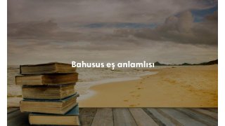 Bahusus nedir? Türkçe anlamı ne demek?