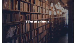 Balat sözlük anlamı nedir? Balat ne demek?