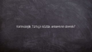 Karındaşlık Türkçe sözlük anlamı ne demek?