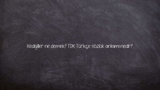 Kedigiller ne demek? TDK Türkçe sözlük anlamı nedir?