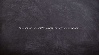 Sakağılı ne demek? Sakağılı Türkçe anlamı nedir?