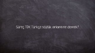 Süreç TDK Türkçe sözlük anlamı ne demek?