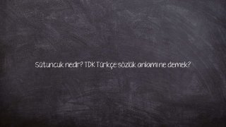 Sütuncuk nedir? TDK Türkçe sözlük anlamı ne demek?