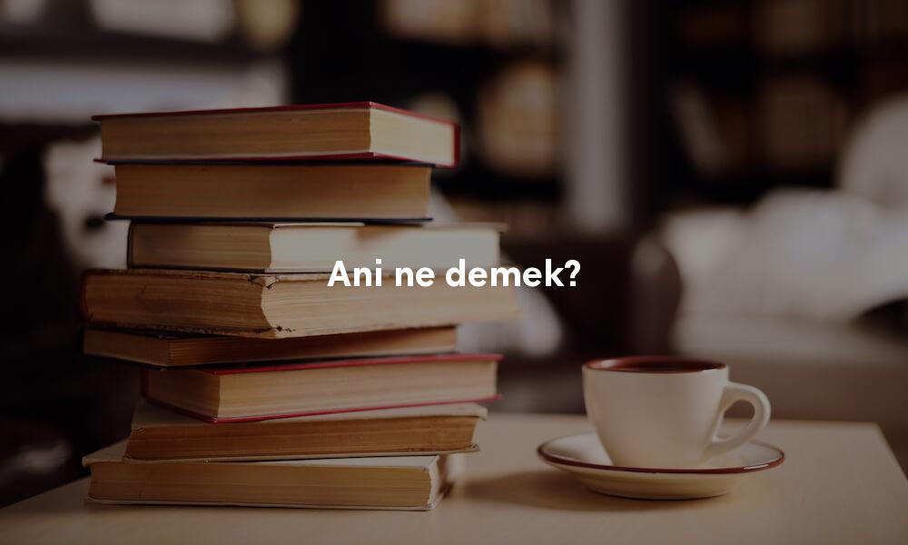 Ani Türkçe sözlük anlamı ne demek?