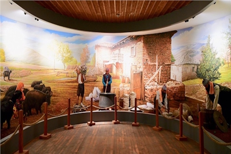 Kahramanmaraş'ta dondurma müzesi kuruldu